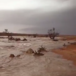 اليوم.. تسلّم أول راتب بالعملة الجديدة