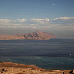 عادل عزت رئيسا للإتحاد السعودي لكرة القدم