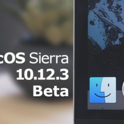 امرأة تقيم في المطار منذ 8 سنوات