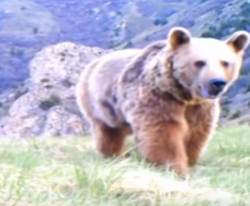 أبل تطلق الإصدار التجريبي الرابع من ماك أو إس “سييرا” 10.12.3 للمطورين