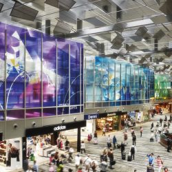 شاهد.. هكذا سرق شاب سماعات مسجد في الرياض