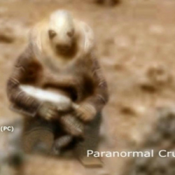 مخترع الأندرويد يخطط لمنافسة آبل وقوقل بهذه الشركة