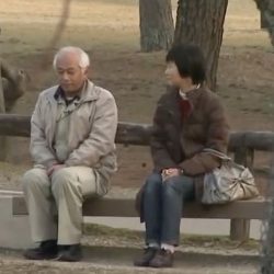 مكعب السكر ….ورصاصة الموت