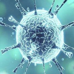 إبطال مفعول لغم جرفته سيول من الأراضي اليمنية إلى وادٍ بجازان