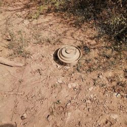 “تقويم التعليم” ترصد مخالفات خلال “الاختبار التحصيلي” وتحيلها للجهات المختصة