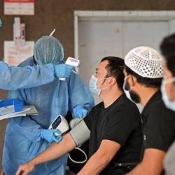 البيئة” تستكشف وتعالج 369 ألف هكتار من الجراد الصحراوي وتعلن انتهاء الموسم الربيعي 2020