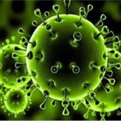 متحدّث وزارة النقل يستعرض جهود ومبادرات وزارة النقل والهيئات والجهات التابعة لها في منظومة النقل