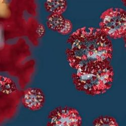 “الصحة” تنشر فيديو لخطوات الحماية من كورونا