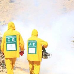 المملكة تنظم بالشراكة مع الأمم المتحدة مؤتمر المانحين لليمن 2020م افتراضيًا الثلاثاء المقبل