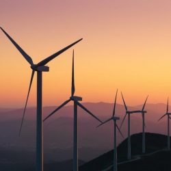 “#موهبة”: طلاب المملكة يحصدون 10 جوائز في أولمبياد آسيا والباسيفيك للرياضيات