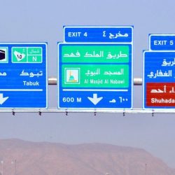 الصحة: تسجيل 32 وفاة و1975 إصابة جديدة بفيروس “كورونا”وشفاء 806