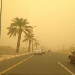 السعودية تستثمر 500 مليون دولار في الطاقة المتجددة