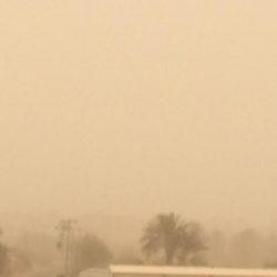 نائب أمير الجوف يلتقي عن بُعد بالرويلي لتكليفه مديراً لصحة المنطقة