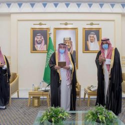 بلدية رفحاء تنفذ أعمال تكريب النخيل وتقليم الأشجار بالحدائق والشوارع لتحسين المشهد الحضري