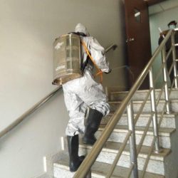 بلدية رفحاء تنفذ أعمال تكريب النخيل وتقليم الأشجار بالحدائق والشوارع لتحسين المشهد الحضري