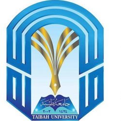 «المرور»: المخالفات لا تمنع نقل ملكية المركبة للغير بـ«شرطين»