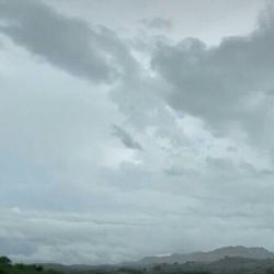 اليابان تدرس فتح حدودها أمام الوافدين من دول محددة