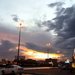 المدينة.. جولات رقابية مكثفة على أسواق الخضار والفواكه وسط إقبال المتسوقين