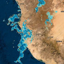 أمانة المدينة المنورة تنفذ 2367 جولة رقابية وتصدر 525 مخالفة