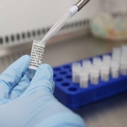 جامعة بيشة تعلن إقامة 4 دورات مجانية (عن بُعد) بشهادات مُعتمدة