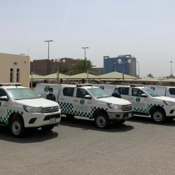 ” الإفتاء ” تدشن البوابة الإلكترونية للعمل عن بعد