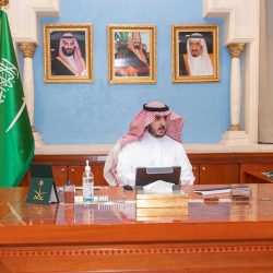 الإمارات تدين “تدخلات” تركيا وإيران في العراق