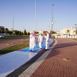 مدير صحة وبيئة الجوف يفتتحان اليوم العالمي للتصحر بزراعة 50 ألف شتلة