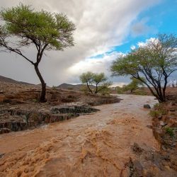 هيئة الطيران المدني: جولات ميدانية ترصد الالتزام بإجراءات السلامة والوقاية في المطارات السعودية