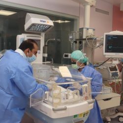 ترجمة خطبة عرفة بـ 10 لغات أجنبية لتصل إلى 50 مليون مسلم
