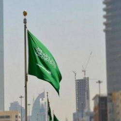 أمانة جدة: إحباط بيع 200 طن من البصل الفاسد ومصادرة 28 شاحنة