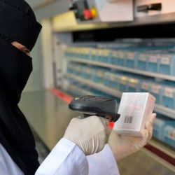 المملكة تدعم الإمارات في ترشحها للعضوية غير الدائمة بمجلس الأمن