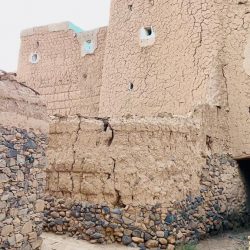 الرياض تتصدر إصابات كورونا الجديدة بـ258 وإجمالي الحالات الحرجة 2235