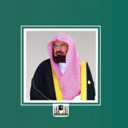 مصر تدين هجوم الحوثيين على السعودية
