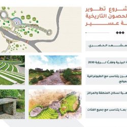 هيئة الطيران المدني تعزز التعاون مع وزارة النقل البريطانية في مجال أمن الطيران