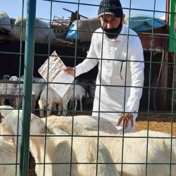 وزارة الإعلام تطلق المركز الإعلامي الافتراضي للحج ومنصة الخدمات المتكاملة