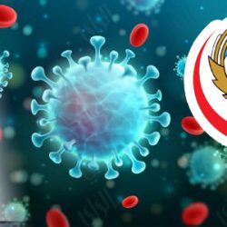 اليوم.. مصر تبدأ تنفيذ أكبر موازنة عامة فى تاريخها