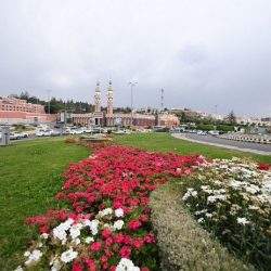مركز الملك سلمان للإغاثة يوزع 1800 سلة غذائية في المناطق المحاذية لصعدة