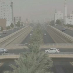 محافظ بلقرن يطلق فعالية ” خيمة السينما” بشارع الإبداع