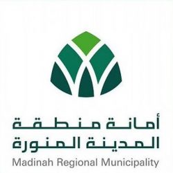 استمرار فعاليات صيف خميس مشيط 2020 للأسبوع الثاني