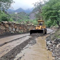 معرض (حواء) يجمع فنانات جسفت عسير افتراضياً