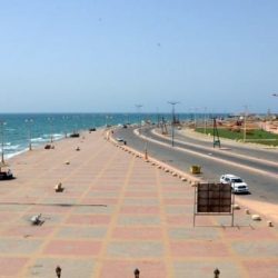 إمام المسجد النبوي: شكر النعم بالقيام بالفضائل واجتناب الفواحش
