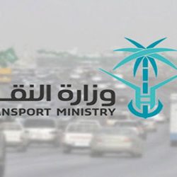 الدولة تتحمل التكلفة.. مجلس الوزراء: تأمين حقوق الوافدين في القطاع الخاص