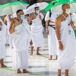 “الغذاء والدواء” توصي بوضع لحوم الأضاحي في أوانٍ مغلقة