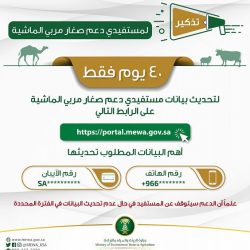 تعليم سراة عبيدة يعتمد حركة نقل وتجديد وتكليف (228) من القيادات المدرسية