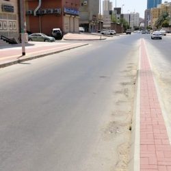 قيادة القوات المشتركة للتحالف “تحالف دعم الشرعية في اليمن”: اعتراض وتدمير صاروخ بالستي باتجاه المملكة