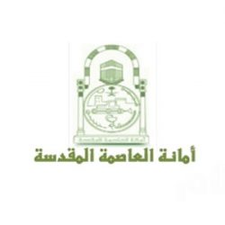 “السعودية للكهرباء” تعلن نجاح خطتها التشغيلية بالحج