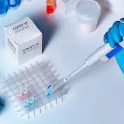 «طقس الخميس» .. أمطار رعدية ورياح مثيرة للأتربة على عدة مناطق بالمملكة