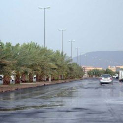 فيس بوك وتويتر يحذفان فيديو لترامب عن كورونا