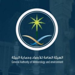 استلام الأحكام إلكترونيًا.. خدمة جديدة يطلقها «ديوان المظالم» عبر منصة «معين»