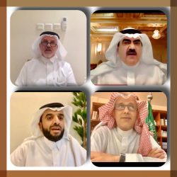 تعرّف على الخطوات المطلوبة لتفويض شخص آخر لمراجعة القطاعات المختلفة نيابة عنك